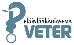 Veter