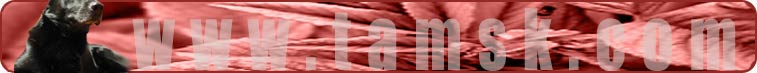 www.tamsk.com
